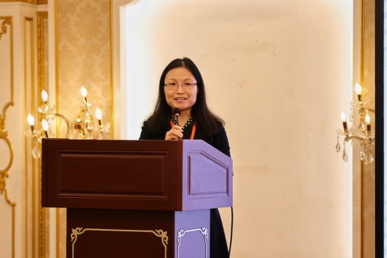 卜彦芳教授作主旨报告 卜彦芳教授作主旨报告