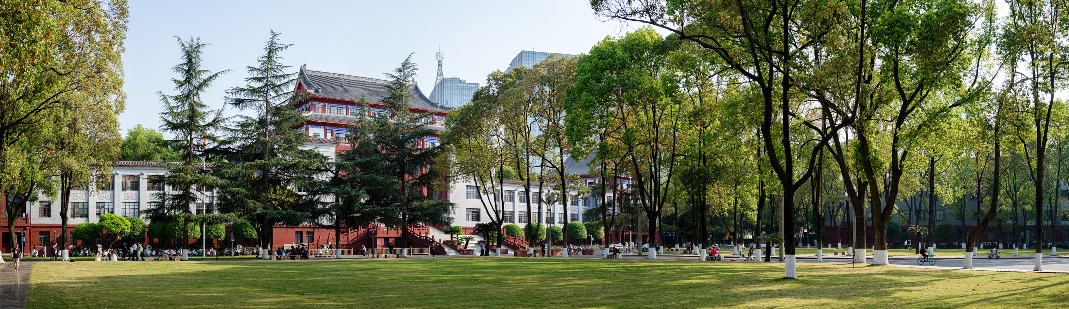 四川大学 Sichuan University