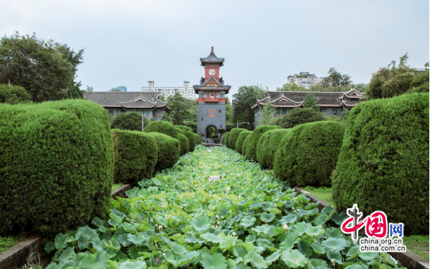 【中国网】绿色校园建设结硕果 四川大学荣获首届四川省"十佳"最美校