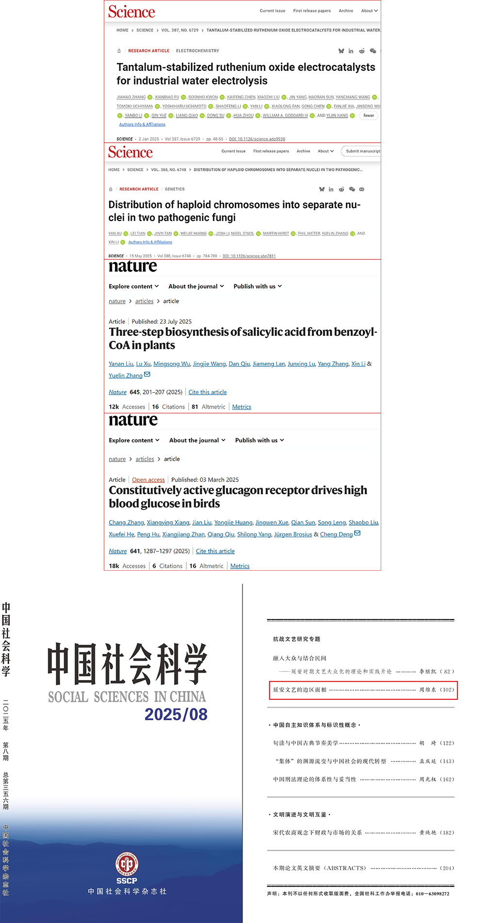 投一票