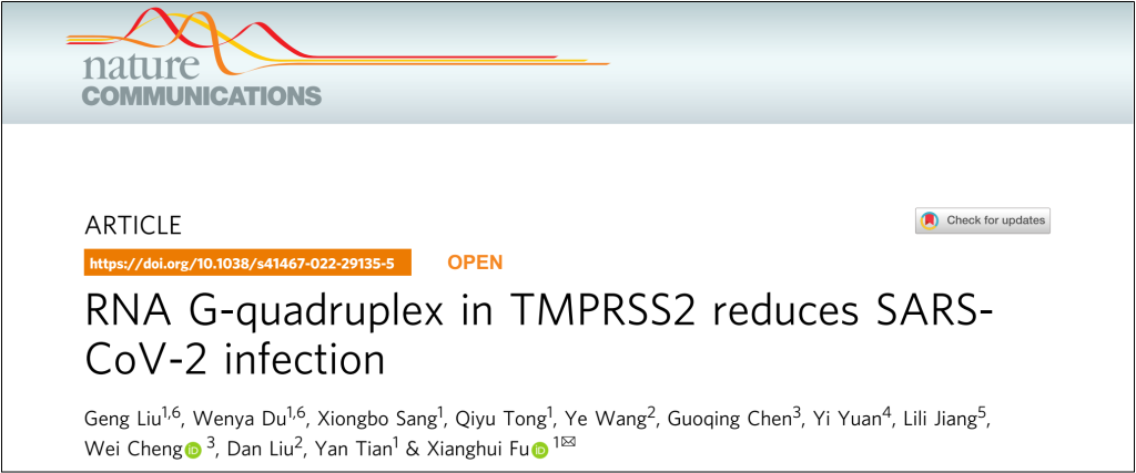 我校华西医院生物国重傅湘辉团队揭示RNA-G四链体可能成为新冠病毒感染防治新靶点