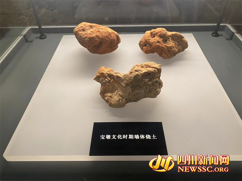 展品2.jpg 展品2.jpg