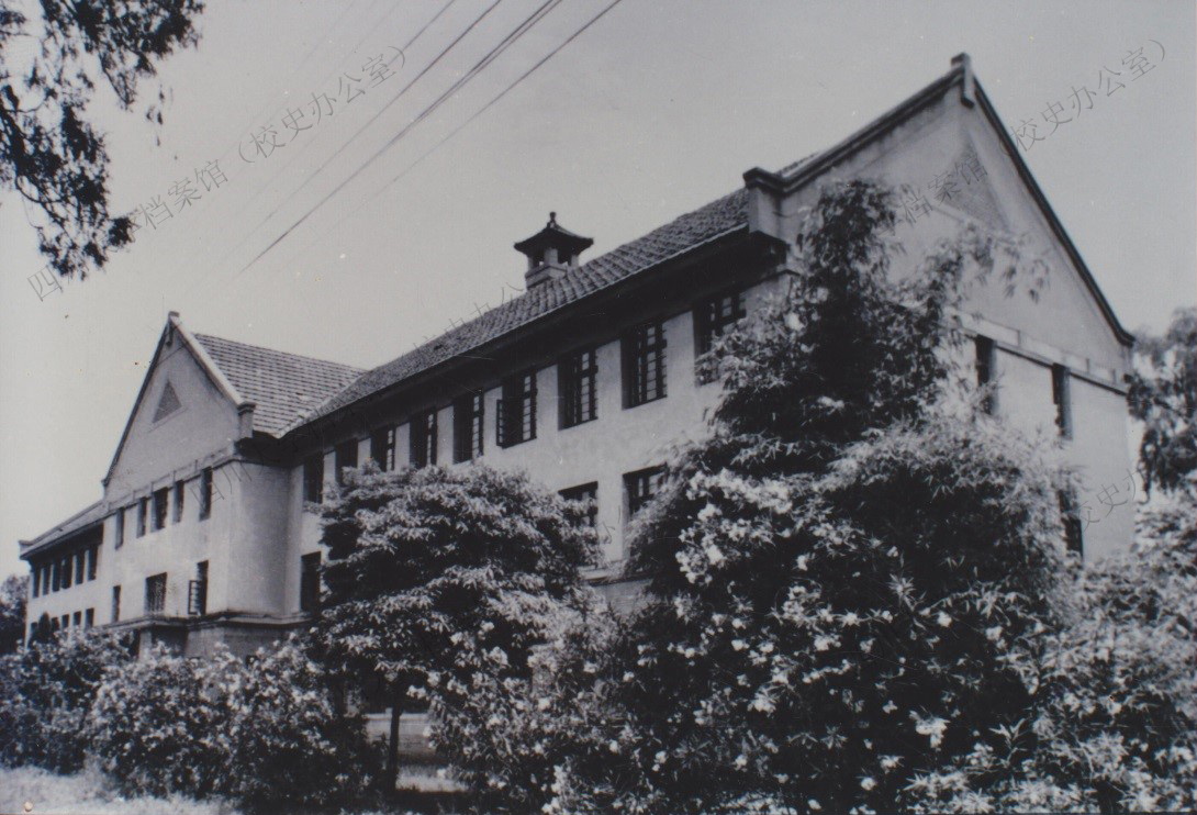 42ED4